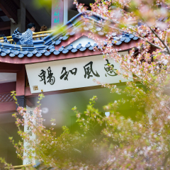 活动模块 