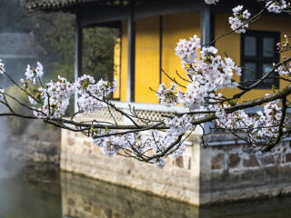 華東旅游路線_華東旅游價(jià)格_華東自由行還是跟團(tuán)好
