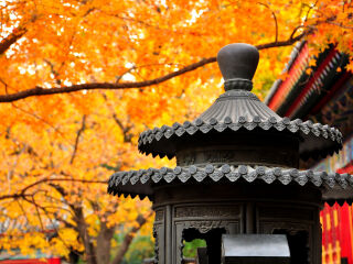 暑假北京故宮游價格_北京故宮旅游報團(tuán)價格_北京故宮自由游價格多少