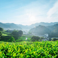 小交通模块 