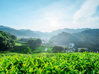 华东5日旅游_中国到华东旅游_去华东旅游网站