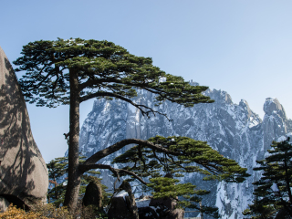 黃山旅游價格_黃山特價旅游團報價_黃山八月份旅游