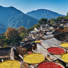 景点模块 