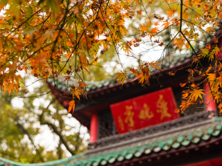 湖南長(zhǎng)沙九月旅游_湖南長(zhǎng)沙高端品質(zhì)旅游團(tuán)_湖南長(zhǎng)沙游特價(jià)團(tuán)