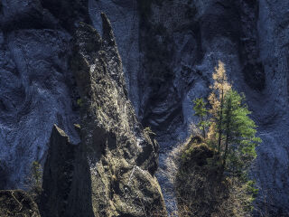 東北長(zhǎng)白山旅游花多少錢_東北長(zhǎng)白山旅游價(jià)格多少_東北長(zhǎng)白山旅游一次多少錢
