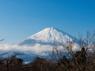 日本旅游多少錢_日本游價(jià)格_日本報(bào)團(tuán)多少錢