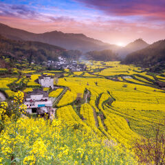 景点模块 
