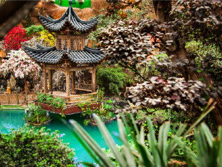 旅行團(tuán)增城白水寨游_怎么去增城白水寨旅游_組團(tuán)去增城白水寨