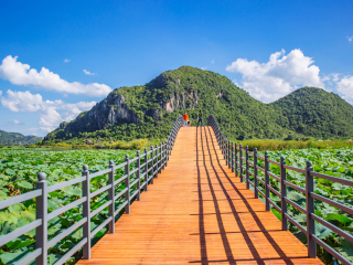 2021去云南昆明跟團(tuán)多少錢_云南昆明報團(tuán)旅游多少錢_云南昆明旅行跟團(tuán)