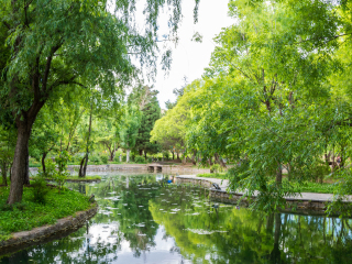 云南香格里拉旅游價格_云南香格里拉高端品質(zhì)旅游團(tuán)_云南香格里拉旅游跟團(tuán)需多少錢
