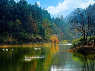 報(bào)團(tuán)去華東杭州多少錢(qián)_去華東杭州靠譜的旅行團(tuán)_現(xiàn)在到華東杭州旅游多少錢(qián)