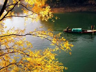 報(bào)團(tuán)去華東杭州多少錢(qián)_去華東杭州靠譜的旅行團(tuán)_現(xiàn)在到華東杭州旅游多少錢(qián)