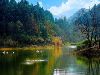 黃山游跟團(tuán)多少錢2021_黃山報(bào)團(tuán)多少錢_黃山旅游需要多少錢
