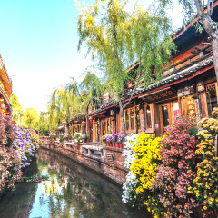 丽江古城 景点模块