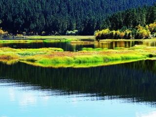 云南麗江旅行跟團(tuán)_云南麗江游跟團(tuán)多少錢_去云南麗江報(bào)團(tuán)多少錢