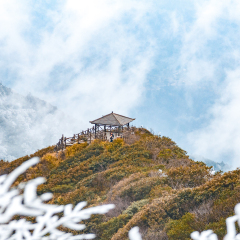 景点模块 