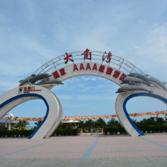 活动模块 