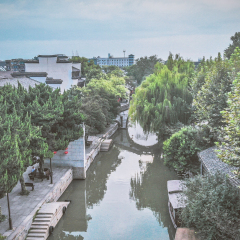 活动模块 