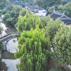 活动模块 