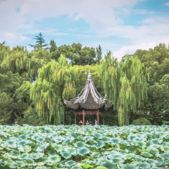 活动模块 