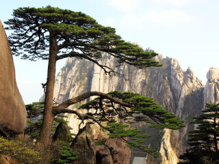 怎么去江西廬山旅游_江西廬山旅游大概多少錢_報(bào)團(tuán)去江西廬山多少錢