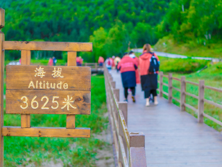 去云南香格里拉旅游_云南香格里拉私人定制旅游_云南香格里拉旅游跟團需多少錢