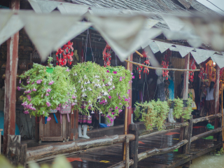 泰國清邁旅游多少錢一個人_泰國清邁旅游團_泰國清邁旅游花費一般多少
