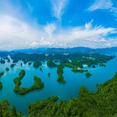 小交通模块 