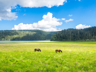 云南香格里拉報(bào)團(tuán)多少錢_云南香格里拉旅游一次多少錢_香港旅游團(tuán)云南香格里拉