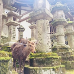 景点模块 