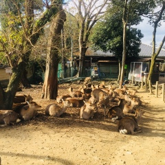 景点模块 