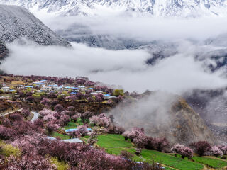 西藏納木錯(cuò)旅游報(bào)團(tuán)價(jià)格_西藏納木錯(cuò)旅行團(tuán)自由行_西藏納木錯(cuò)旅游要多少錢2021