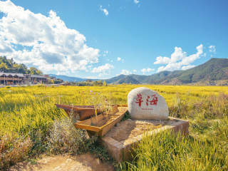 云南玉龍雪山旅游花費(fèi)一般多少_云南玉龍雪山自由行組團(tuán)_云南玉龍雪山旅游要多少錢2021