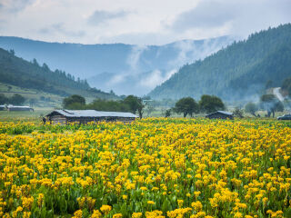 香格里拉旅游案_出发香格里拉旅游线路_香格里拉六日旅游报价