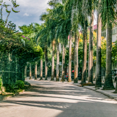 景点模块 
