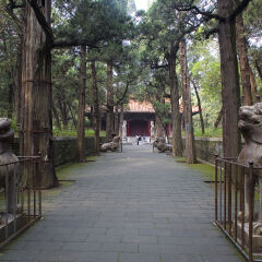 景点模块 