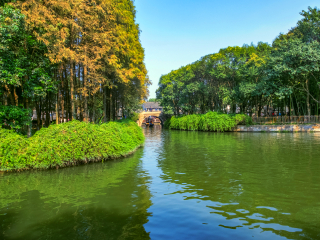 参团去杭州旅游_杭州跟团游与自由行_杭州旅游跟团