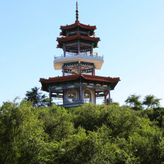 活动模块 
