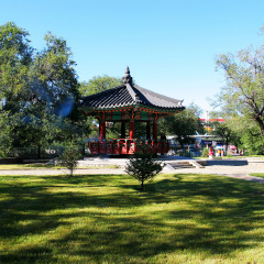 活动模块 