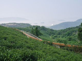 西双版纳旅游要带多少钱_西双版纳旅游团报价6月_西双版纳旅游跟团