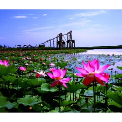 景点模块 