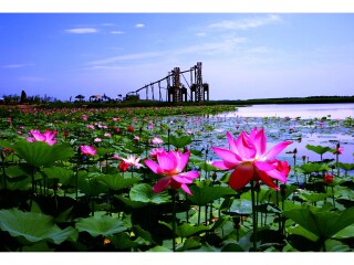 跟團寧夏旅游價格表_寧夏旅游團報價自由行_報團去寧夏多少錢