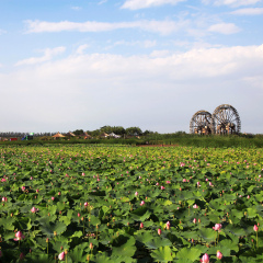 景点模块 
