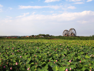 跟團寧夏旅游價格表_寧夏旅游團報價自由行_報團去寧夏多少錢