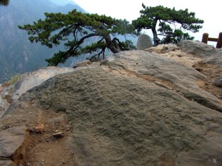 去廬山游怎么省錢_廬山特價旅游團報價_跟團廬山旅游價格表