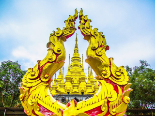西双版纳旅行网站_包团西双版纳旅游_西双版纳旅游团价格多少