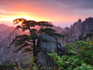 以往國慶杭州烏鎮(zhèn)游價格_杭州烏鎮(zhèn)旅行團(tuán)旅游報價_杭州烏鎮(zhèn)旅游最佳路線