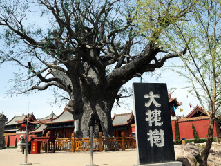 山西旅游拍摄_去山西会议旅游_山西八日旅游