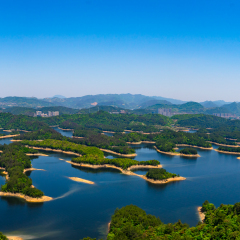 活动模块 
