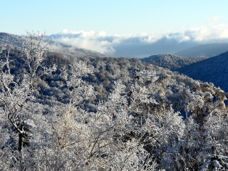 特價亞布力雪鄉(xiāng)游_亞布力雪鄉(xiāng)旅游費用多少_亞布力雪鄉(xiāng)旅游跟團多少錢